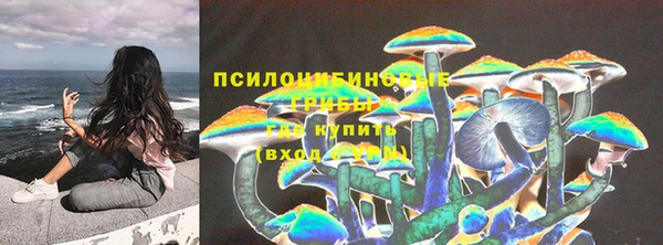 бутират Сосновка
