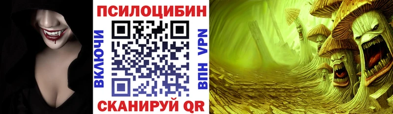 где найти наркотики  Уварово  omg ссылки  Псилоцибиновые грибы Cubensis 