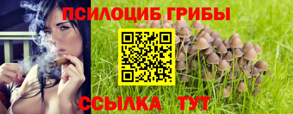 Псилоцибиновые грибы ЛСД Уварово