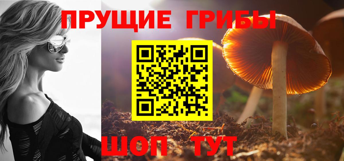 Галлюциногенные грибы MAGIC MUSHROOMS Уварово