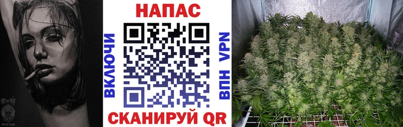 Шишки марихуана гибрид  Уварово 